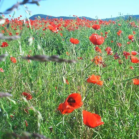 Ferienwohnung-stricker-3-3 Apartment