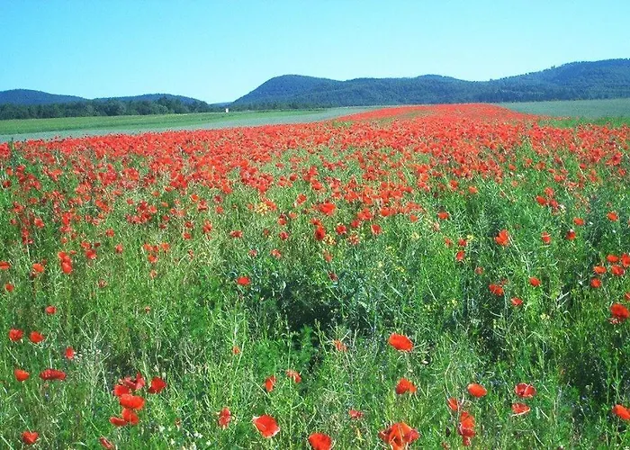 Ferienwohnung-stricker-3-3 *