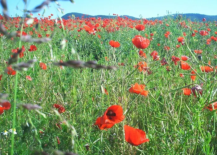 Ferienwohnung-stricker-3-3 Apartamento